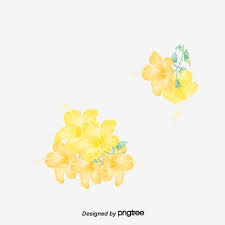 黃玫瑰png和psd圖片素材 yellow roses rose invitations