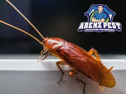 Cas article google scholar 68. Arenz Pest Management Solutions 125 Osage Executive Cir House Springs Mo Pest Control Mapquest