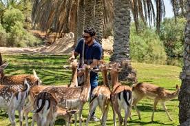 جولة سياحية في افريكانو بارك أدغال افريقيا سفاري نت