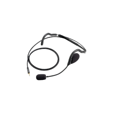 Image result for ICOM IP100H