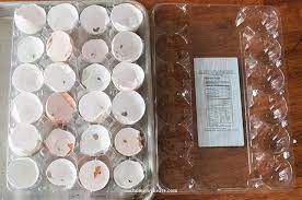We did not find results for: Winter Egg Carton Greenhouse How To Start Your Garden Seeds With Little Effort