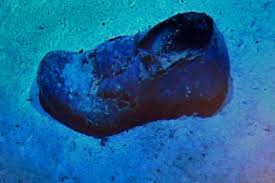Related video for 66 years, the location of sydney remained shrouded in mystery, with the relatives and descendants of those who had perished left wondering. Shoe Near Hmas Sydney Wreck Abc News Australian Broadcasting Corporation