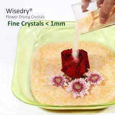 Hobby/craft stores often have silica gel for drying flowers. Wisedry Silica Gel Silica Gel Desiccant For Flower Drying Flowers 5 Pounds Fine Crystals Colour Indicator Reusable Amazon De Business Industry Science
