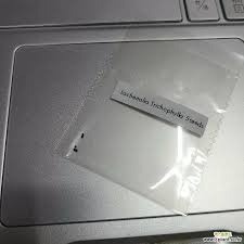 Image result for Dipcadi rigidifolium