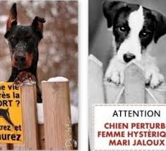 Pancartes Chiens Droles Et Amusantes Chiens Droles Chien Image Drole Chien