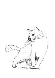 Investigating Cat Black And White Ink Illustration 8x10 By Liatib 21 00 Ink Illustrations Illustration Cat Illustration