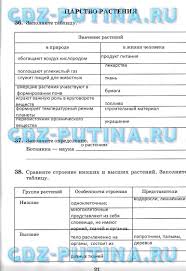 контрольно измерительные материалы по биологии 6 класс читать онлайн Dz 6 Klassa Po Biologii Ortacheadd 5 Klass Planirovanie Uroka I Algebra