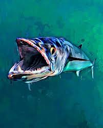 King Mackerel Portrait By Scott Wallace Fish Art Aquatic Art Marine Art