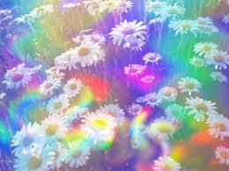 Check spelling or type a new query. Anime Flower Aesthetic Gif Anime Wallpaper