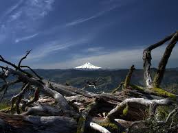 Best for a hybrid or mountain bike, but ok for a road bike but i would suggest slapping on some touring tires for the day. Mount Hood From The Upper Catherine Creek Trail