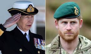 The loss of his military titles and appointments is likely to be particularly painful for prince harry, who appeared to be at his happiest either serving in uniform harry seemed happiest serving in uniform or spending time with fellow veterans. Princess Anne To Make Royal History After Taking Over Prince Harry S Military Role Report Hello