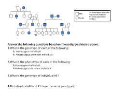 Pedigrees practice answer key biology pedigree worksheet answer key. Answer The Following Questions Based On The Pedigree Pictured Above Ppt Download