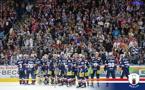 Download this free berlin wallpaper, city, europe, germany wallpaper in high resolution and use it to brighten your pc desktop, ipad, iphone, android, tablet and every other display. Our Commitment To The Bear Cage Ags Pietsch Supports The Eisbaren Berlin Ags Records Management