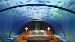 Image result for money triples