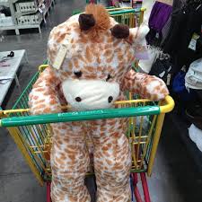 Descubrí la mejor forma de comprar online. Peluches De Bodega Aurrera Off 54