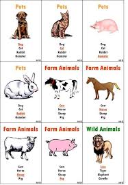 Pets Dog Cat Rabbit Hamster Pets Dog Cat Rabbit Hamster Pets Dog Cat Rabbit Hamster Pets Dog Cat Rabbit Hamster Farm Animals Cow Cow Cat Animals Wild Pet Dogs