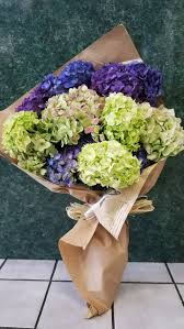 French florist in los angeles, ca knows more about hydrangea than anyone else around. Mixed Colors Hydrangea Bouquet By West Hollywood Florist