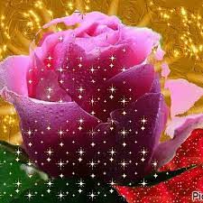 54.1k views # band# bohemian# boho# flower# flowers# get# getting# gorgeous# harry# harry styles# head# hunk# power# reading#stlyles Flowers Images Animated Gif Home Facebook