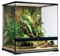 Exo Terra 24 X 18 X 24 Glass Terrarium For Sale Reptile Habitat Reptile Terrarium Terrarium