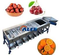 5mt/hr Mushroom Size Grader Vegetable Length Sorting Roller Type Grading  Machine for Fruits and Vegetables
