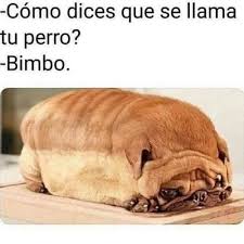 Perros Graciosos Http Enviarpostales Es Perros Graciosos 377 Perros Animales Memes Pinterest Memes Funny Spanish Memes