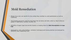 Maybe you would like to learn more about one of these? Mold Remediation Cape Cod