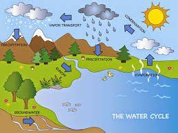 Earth S Water Supply Lesson Plans For Elementary Water Cycle Water Cycle Poster Water Cycle Project