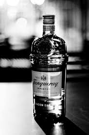 Fox In The City Tanqueray Tanqueray Gin Gin