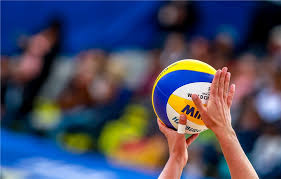 Aspectos fundamentales de la quimica del suelo y de los elementos quimicos esenciales para la planta Fivb Ve Crescimento Das Midias Sociais Em 2020 Web Volei