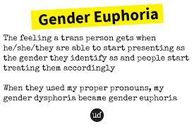 Gender Euphoria Https Www Urbandictionary Com Define Php Term Gender 20euphoria Defid 13192999 In 2020 Word Of The Day Words Feelings