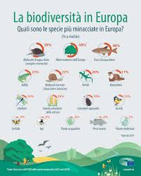 Maybe you would like to learn more about one of these? Biodiversita I Dati Sulle Specie A Rischio In Europa Infografica Attualita Parlamento Europeo