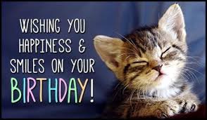 Happy Birthday Pics Funny Cat Images To Wish My Best Friend Happy Birthday Cat Happy Birthday Kitten Happy Birthday Pictures