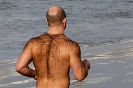 Posted by lucy partington for beauty. Back Hair Removal At Home Body Focus Viss Beauty