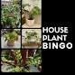 House Plant Bingo event image