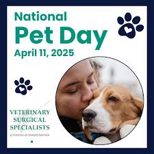 Veterinary Surgical Specialists