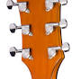 LH Guitares from eastwoodguitars.com