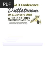 Image result for Polystachya songaniensis