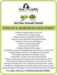 Cara membuat inai dari daun pacar ala saya anak kampung. Inai Daun Serbuk Asli 1kg Free Gloves Shopee Malaysia