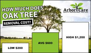 How can i pay for tree removal service? Tree Removal Cost 2020 Average Prices Near Me