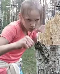 Todos los survival games be like "First get wood by hitting a tree  (barehanded)" Yo: "Eso es imposibles" Evinka: "держи мое молоко"  https://www.facebook.com/watch/?v=170664401588665