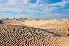 From arabic صَحَارَى‎ (ṣaḥārā, deserts). Sahara Location History Map Countries Animals Facts Britannica