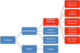 Schroth Based Scoliosis Treatment Fyzical Therapy