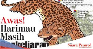 Terbuat dari kulit macan keramat hasil penarikan gaib, kantong macan sangat cocok digunakan oleh para pemimpin, pejabat, tokoh masyarakat dan siapapun yang menginginkan suatu posisi, jabatan atau kekuasaan. Awas Harimau Masih Berkeliaran Seorang Petugas Sinka Zoo Tewas Suarapemredkalbar Com