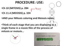 Each organism must inherit a single copy of. Desktop Mitosis Meiosis Lab Ppt Download