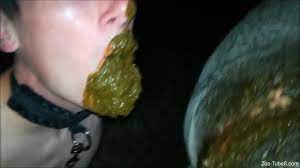 Dirty scat porn after this horny female endures horse sex