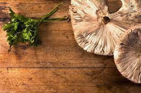 Black garden dining set with parasol mushroom. 3 213 Parasol Table Photos Free Royalty Free Stock Photos From Dreamstime