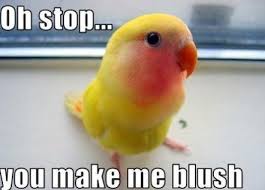 Oh Stop It You Funlexia Funny Pictures