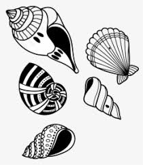 Hand drawn vintage icon with a textured conch seashell vector illustration. Seashell Conch Clip Art Seashell Clipart Png Transparent Png Transparent Png Image Pngitem