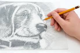 Create line drawing and sketches in a few seconds convert your photo to line drawing and image to sketches. 10 How To Draw Books That Will Help You Sketch The Animal Kingdom