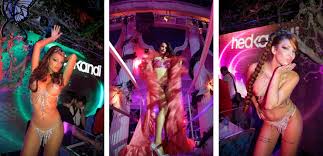 Image result for hed kandi